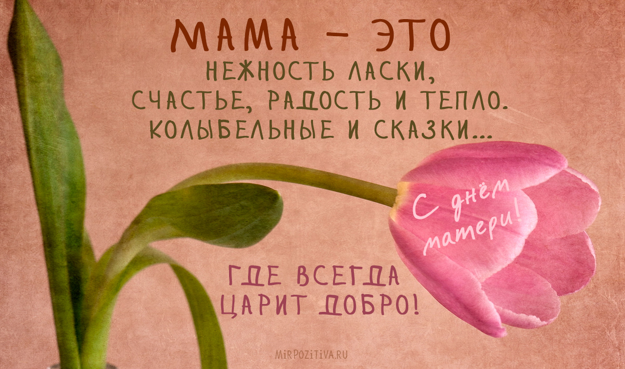 «МАМИНА КОПИЯ».