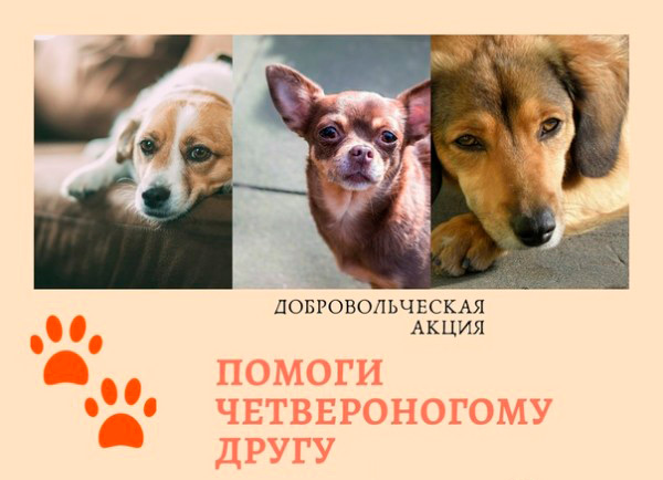 «Помоги четвероногому другу».