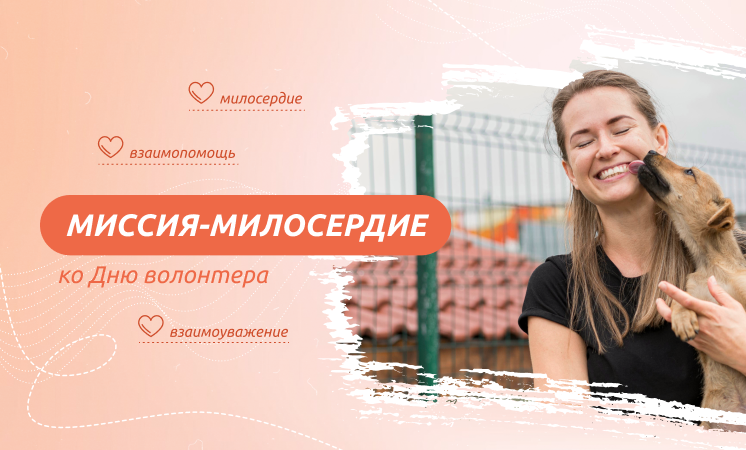 РАЗГОВОРЫ О ВАЖНОМ.