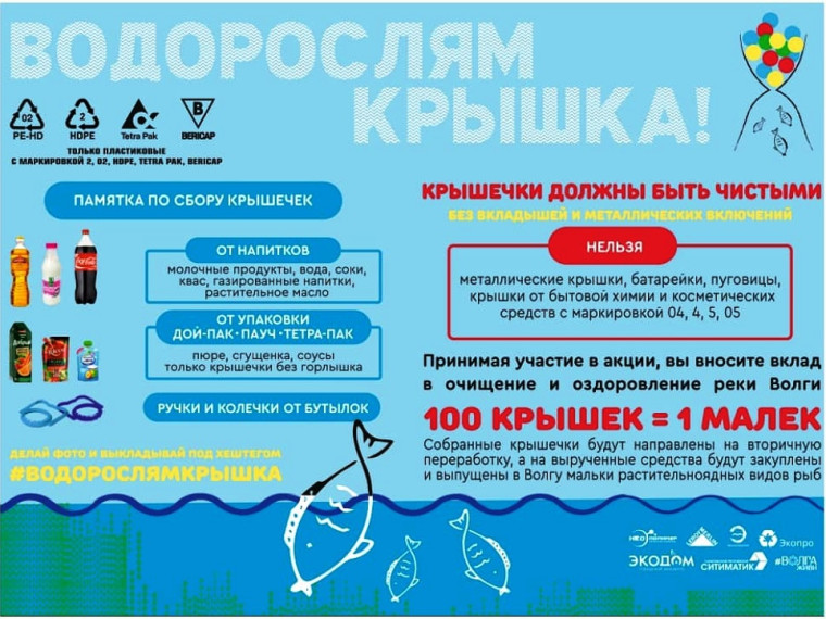 «ВОДОРОСЛЯМ КРЫШКА!».